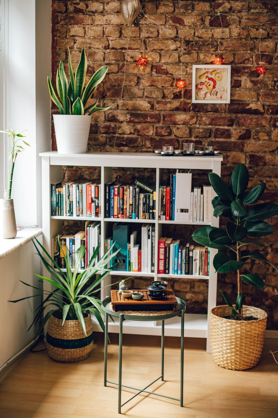 A freestanding bookcase among houseplants